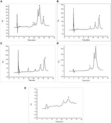 Amino acids and protein profiles of defatted camel and cow milk fractions: correlation with their in vitro antioxidant and antidiabetic activities